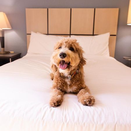 Sonesta Simply Suites Parsippany Morris Plains Экстерьер фото